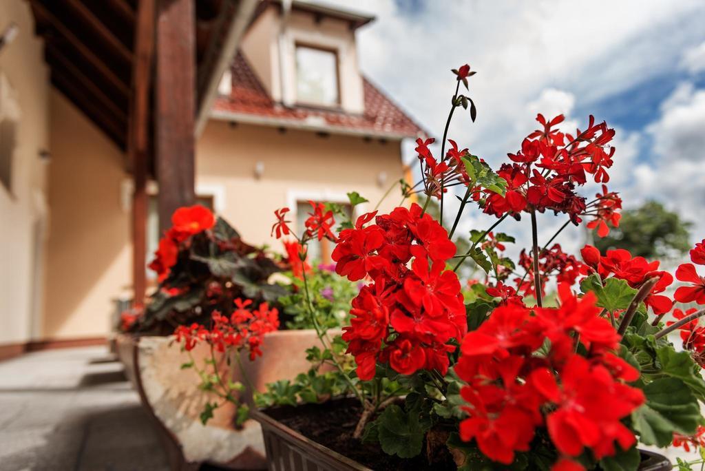 Vera Hotel Sulechów Екстериор снимка